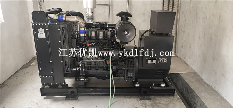 2021年1月26日，100KW上柴發(fā)電機(jī)組交付廣西防城港某養(yǎng)豬場使用